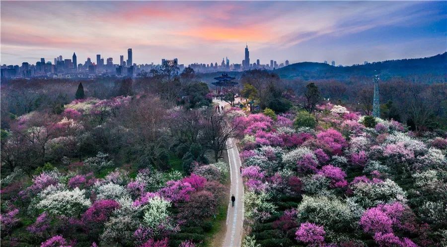 莱斯看定制靠谱吗,劳斯莱斯好买吗