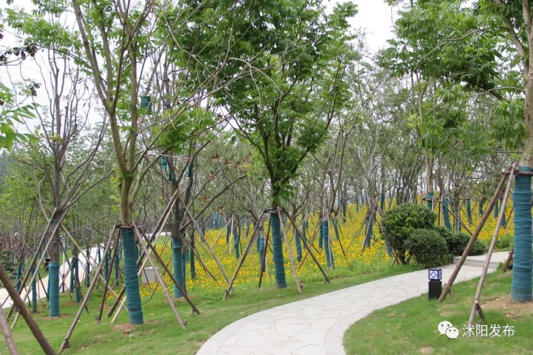 2019年沭阳县新消息,沭阳未来三年的发展