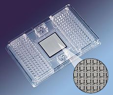 一文快速入门graphql,数字pcr原理图解