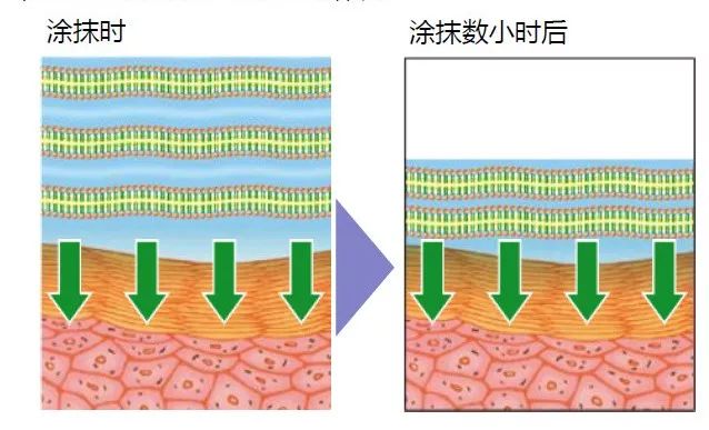 苏菲娜防晒霜控油,日本苏菲娜防晒测评