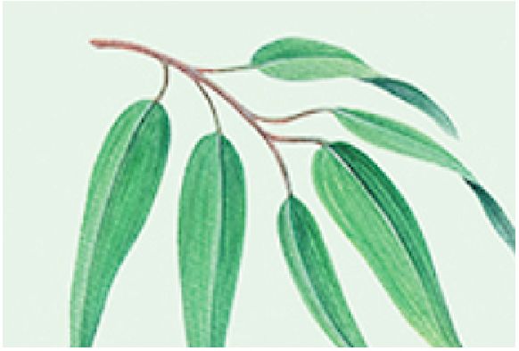 美国trukid防晒霜,truik防晒霜