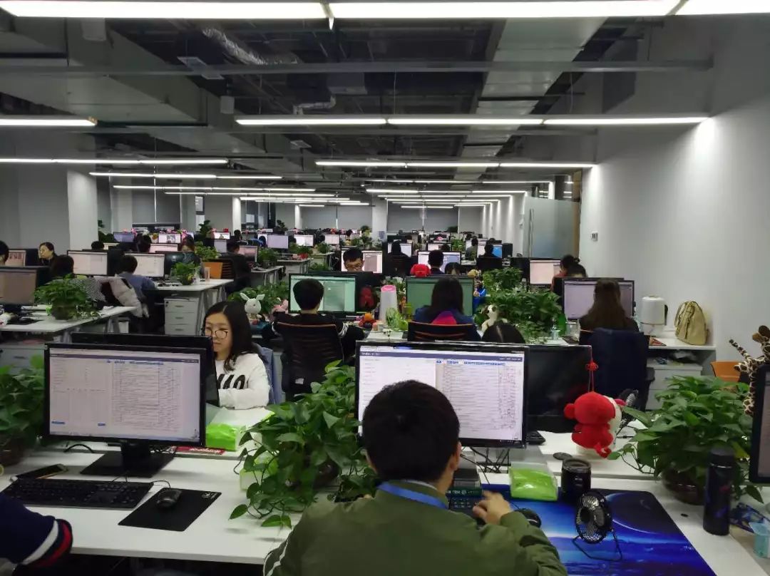 泰达城进展,泰达城最新消息