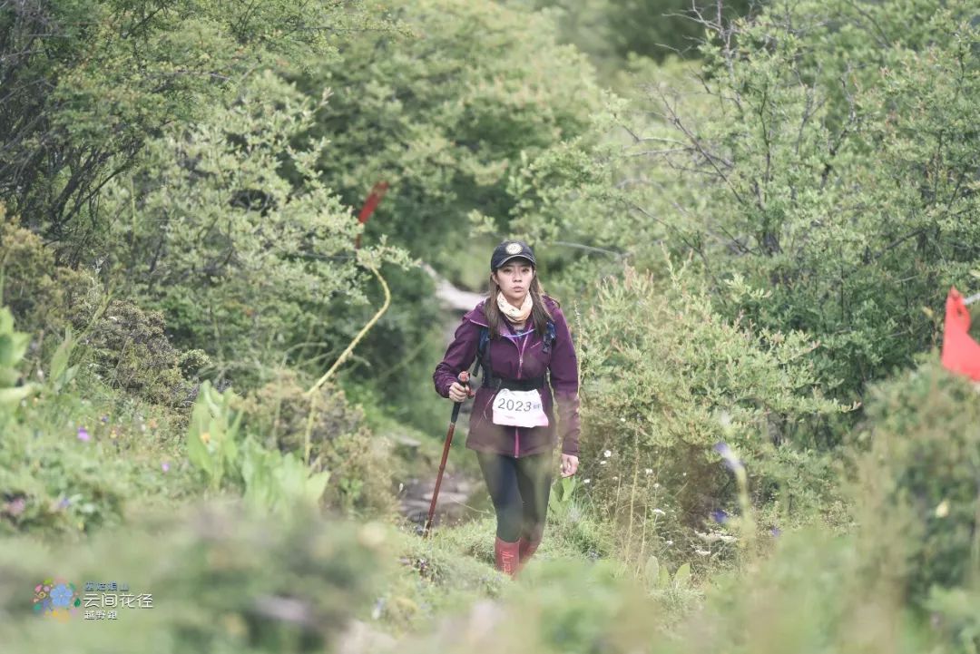 四姑娘山云间花径越野跑延期,2024四姑娘山云间花径越野跑