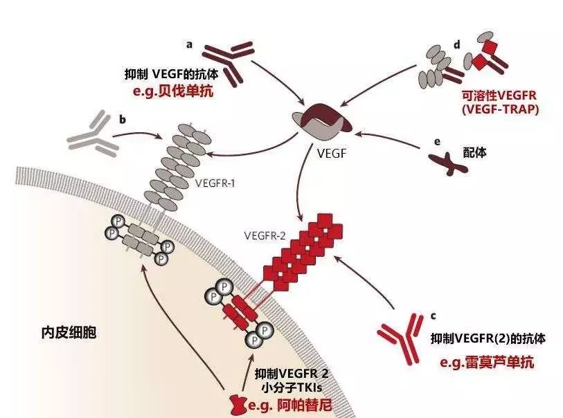 乳腺癌肺转移双靶向治疗效果,乳腺癌靶向治疗每次费用多少
