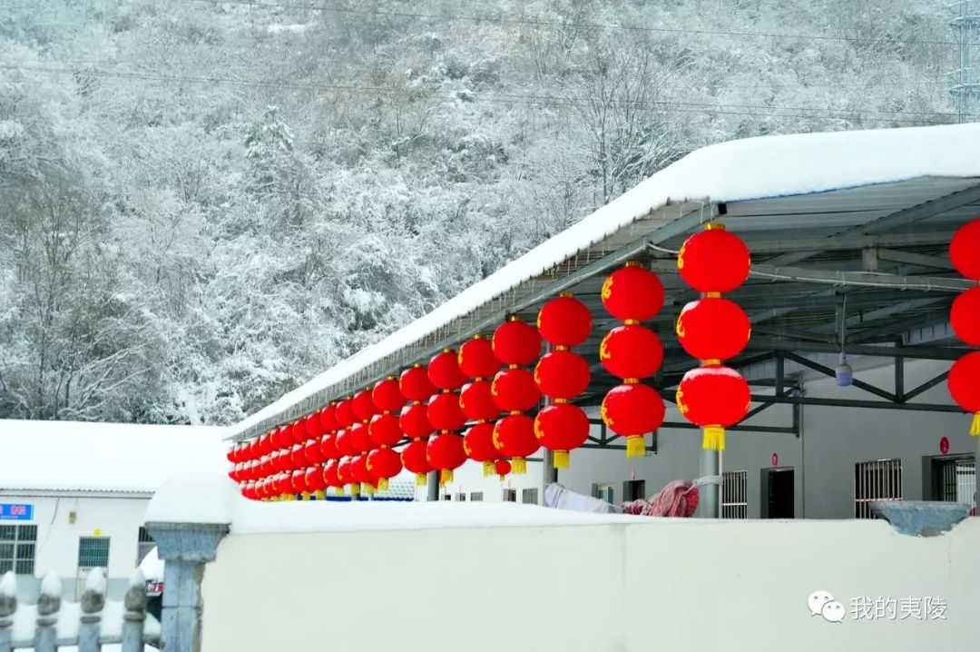 夷陵美|冬去春来~