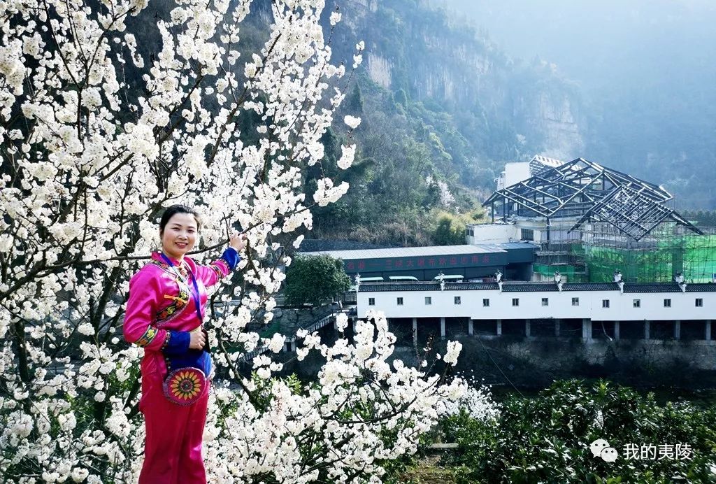 夷陵美|冬去春来~