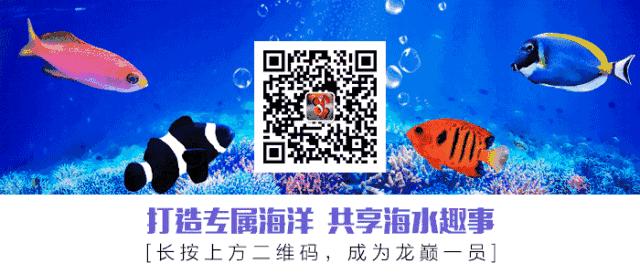 whatsapp时钟不正确怎么调,whatsapp显示版本过低