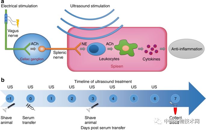 具有治疗功能超声技术是什么,超声技术改善