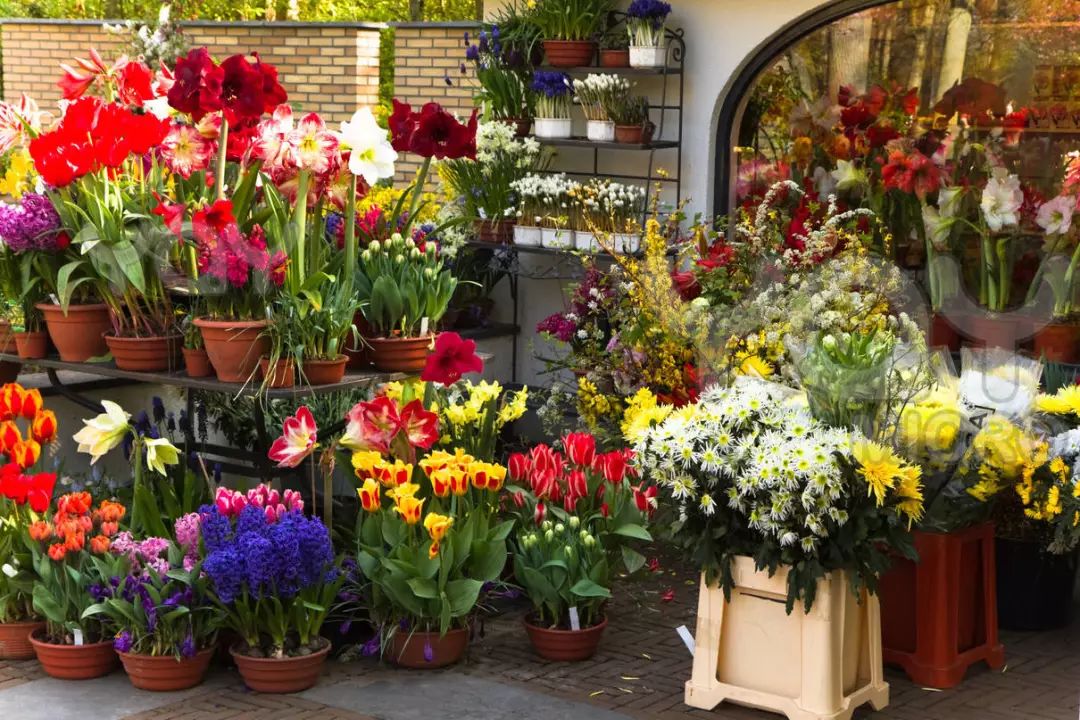 三个方法看透所有谎言,三个方法辨别谎言