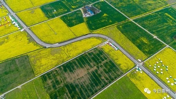 崇州自然赏花美景,崇州青山绿水