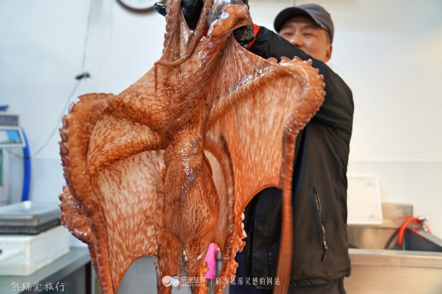 韩国安东鸡,去韩国吃炸鸡