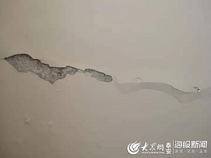 涔版埧鍚屼竴鏁呴殰缁翠慨涓夋,涔版埧閬亣涓ラ噸璐ㄩ噺闂缁存潈琚墦