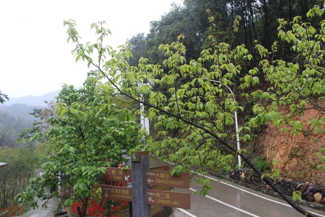 适合踏春的景点厦门,厦门春季旅游攻略