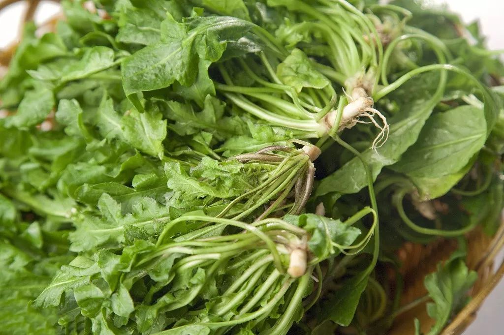 春天十大黄金野菜,中医养生必吃的9种食物