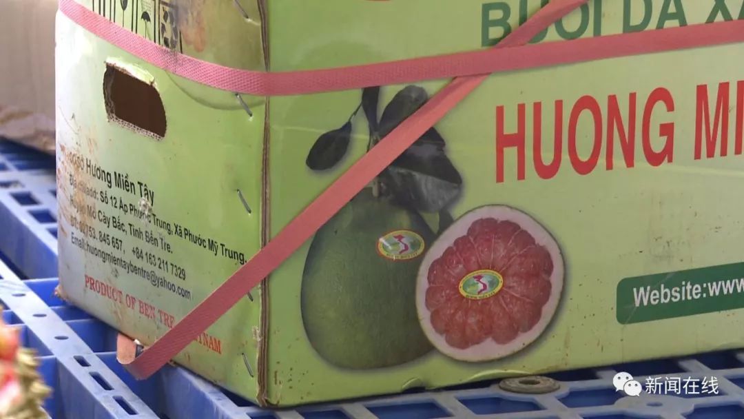 举报315假货会处理吗,315举报的所有食品