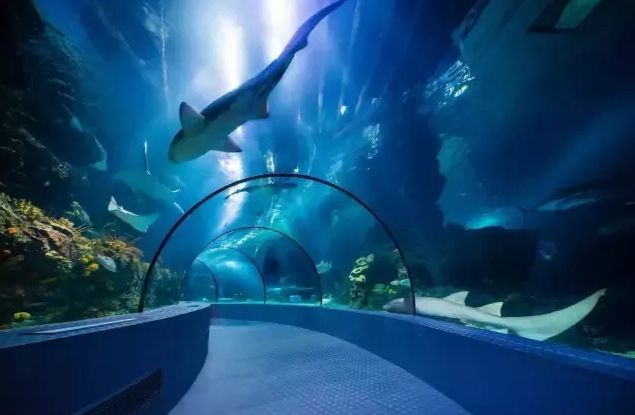 99元畅玩上海欢乐谷,99元畅玩川内30个景区