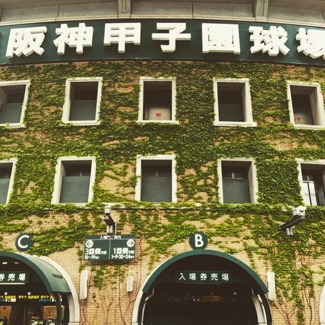 中二是你上辈子修来的福气