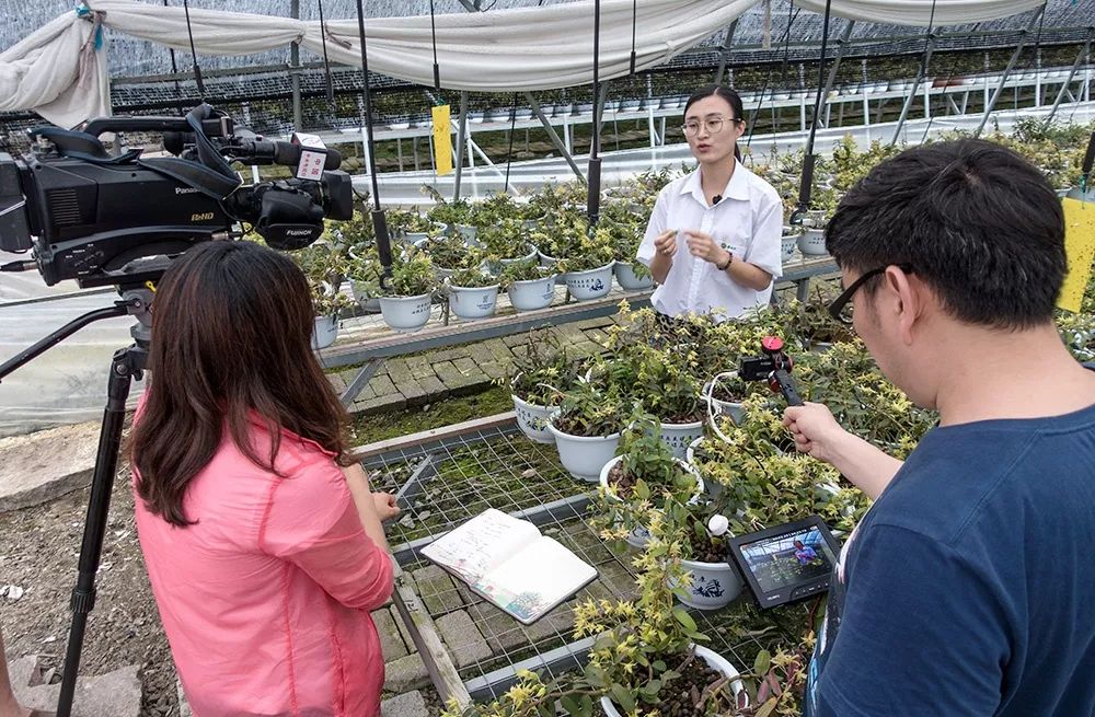 “海归”80后回乡当药农——肖艺：用“爱”说话，传承中医药文化