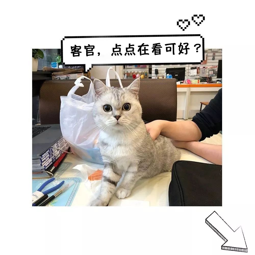 金色拂晓电镀版高达,拂晓高达配色