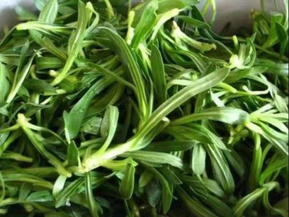 春游郑州这份赏花攻略请收好,郑州自驾踏青赏花好去处