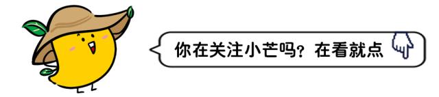 三亚市2023集中开工项目,三亚11个项目集中开工