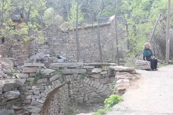 郑州周边踏青采摘野菜,郑州自驾踏青赏花好去处