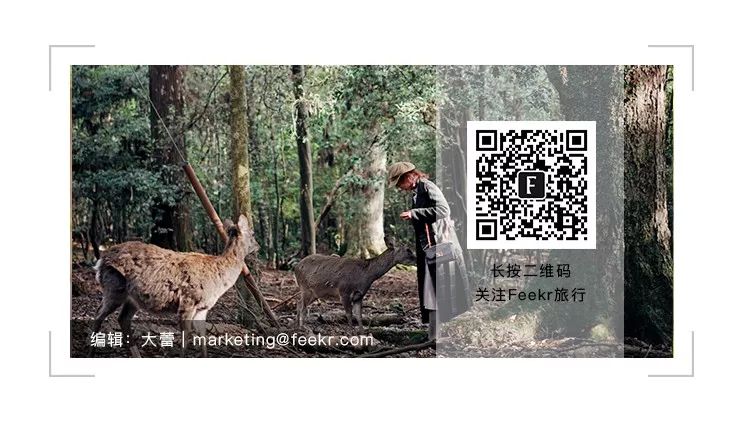 成都五一露营星空云海,云海五一旅游攻略最新