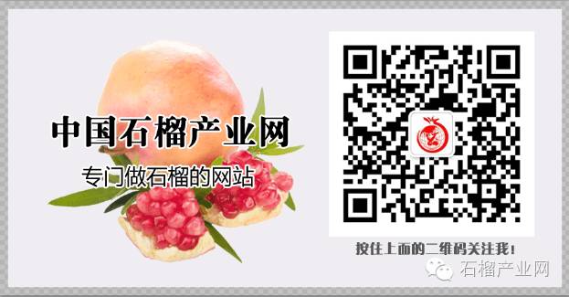 石榴树病虫害如何防治,石榴树的常见病虫害防治方法