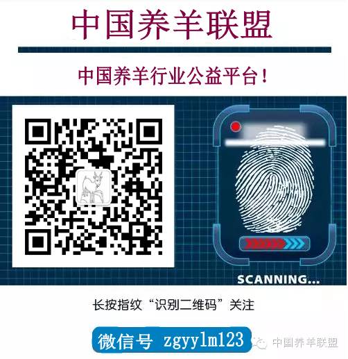 小尾寒羊常见疾病,羊常见的疾病防治100例视频