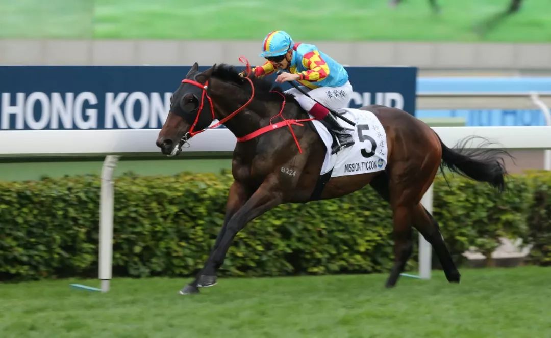 怎样的赛马日,可以吸引六大洲十四地区一百一十一匹星级赛驹报名!