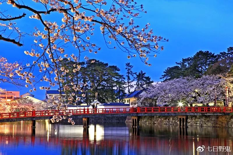 2019年日本大赏排行榜,2018全日本赏樱花旅游攻略