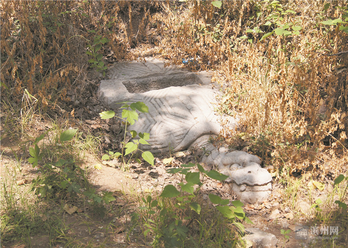 伏生和尚书,伏生和孔子的关系