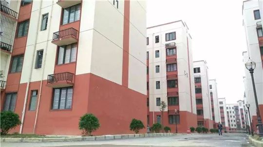 粤桂协作助广西文旅发展,粤桂携手促进农文旅融合发展