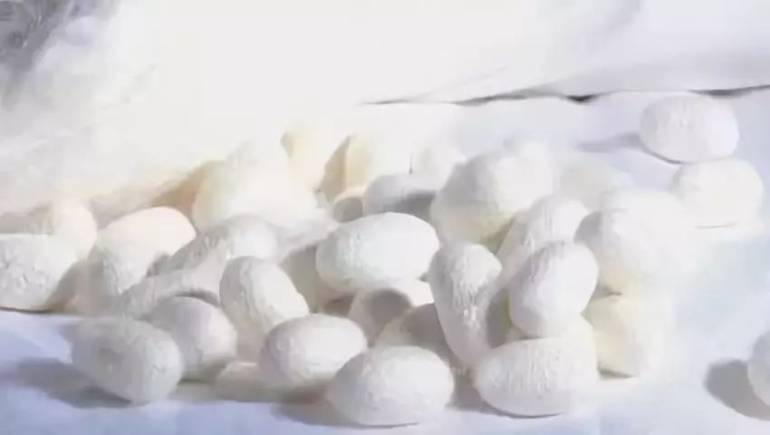 不臃肿也不紧绷保暖裤男,舒适无束缚休闲裤男