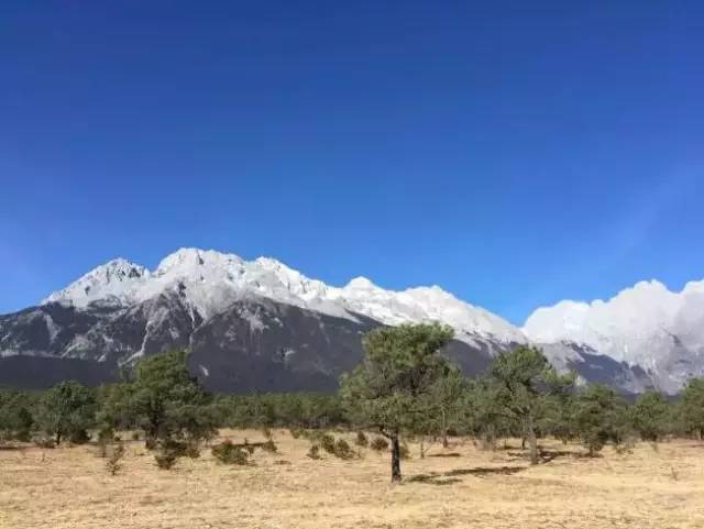 内调养颜原来真的很重要,内调有多重要