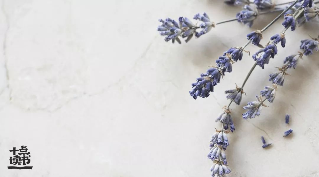 杭州浙大保安被捅伤,浙大一保安被刺伤最新通报