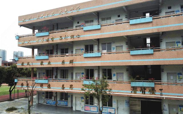 老照片1987年的夏天校园,夏西旧照片