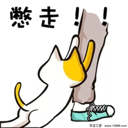 我是代购图片,我是代购用英语怎么说