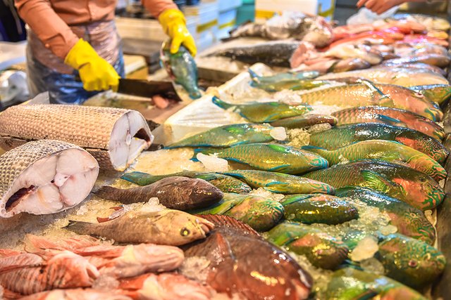 四川去三亚5天4晚自由行网红打卡,三亚旅游网红打卡地点推荐