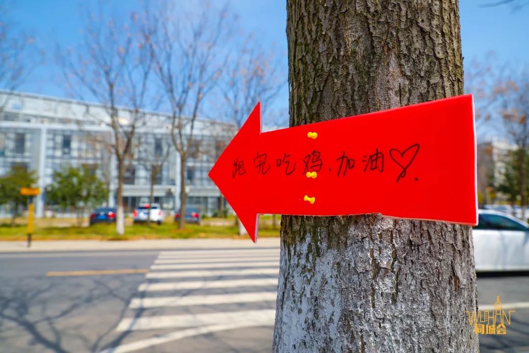 华中农业大学校园到底有多美,华中农业大学园艺林学院