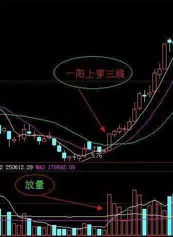 从入门到精通武术,从入门到精通的全面攻略