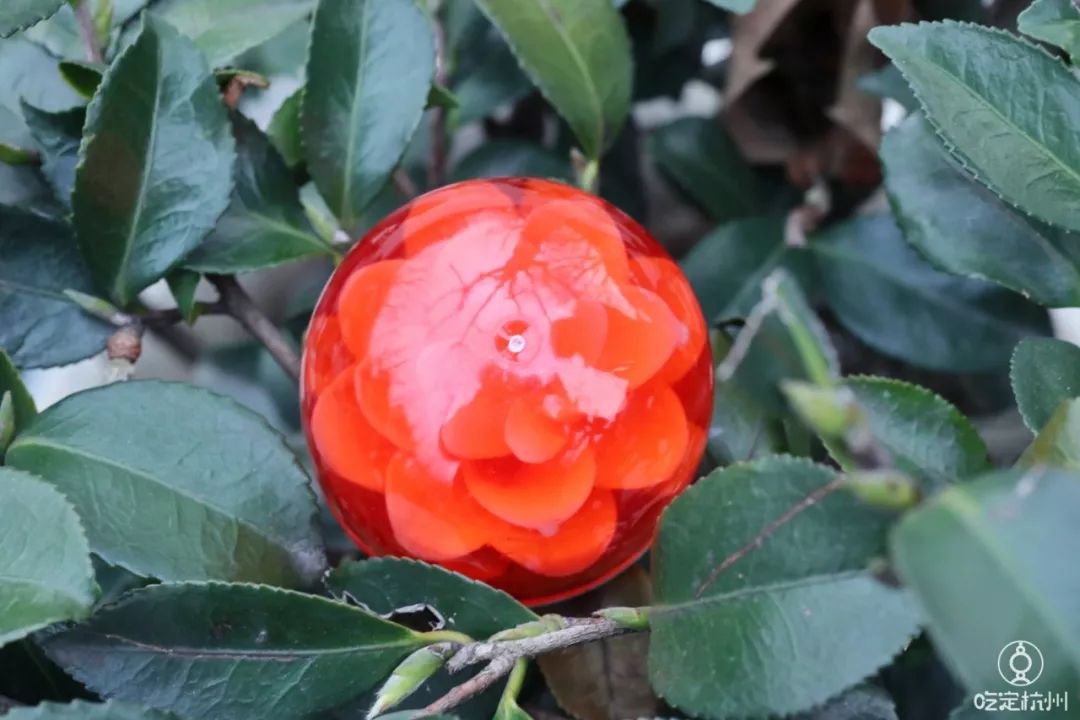 最便宜的胶原蛋白冻,1元秒杀胶原霜