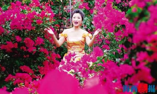 正宗同安红中国红三角梅,厦门三胎准生证哪里办理