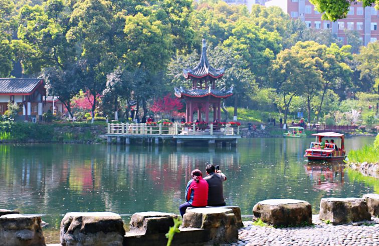 “重马”来啦！在沙坪坝的春天里应这样度过