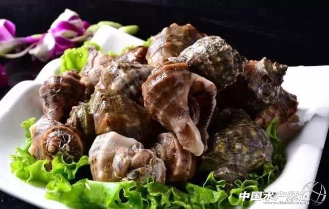 海鲜不可以吃的是哪些,海鲜禁忌你知道多少