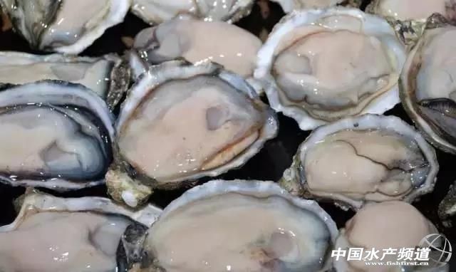 海鲜不可以吃的是哪些,海鲜禁忌你知道多少