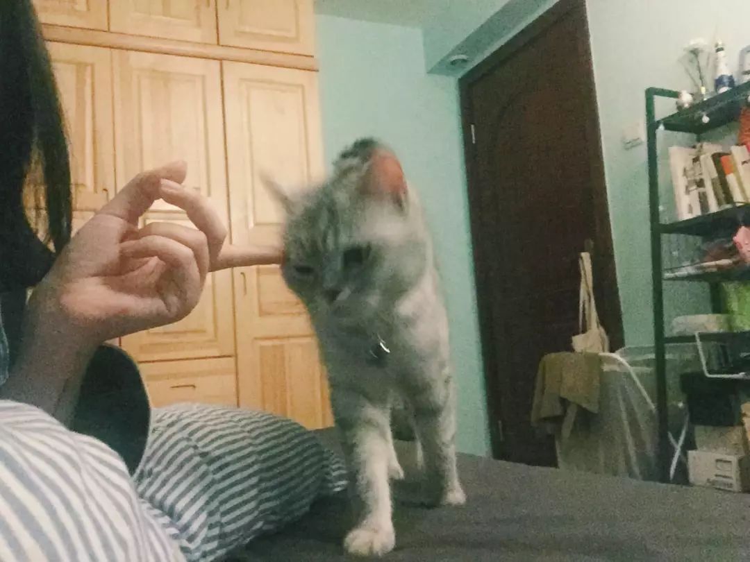 值得买|比纯棉更透气！比亚麻更柔软！这样的神仙四件套真的存在！