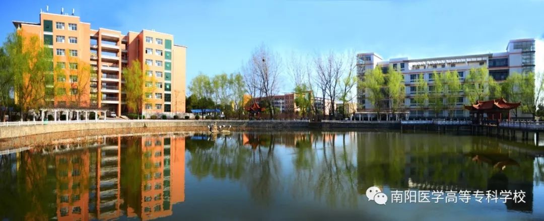 南阳医专高职专科学校招生简章,南阳师范学院喜报