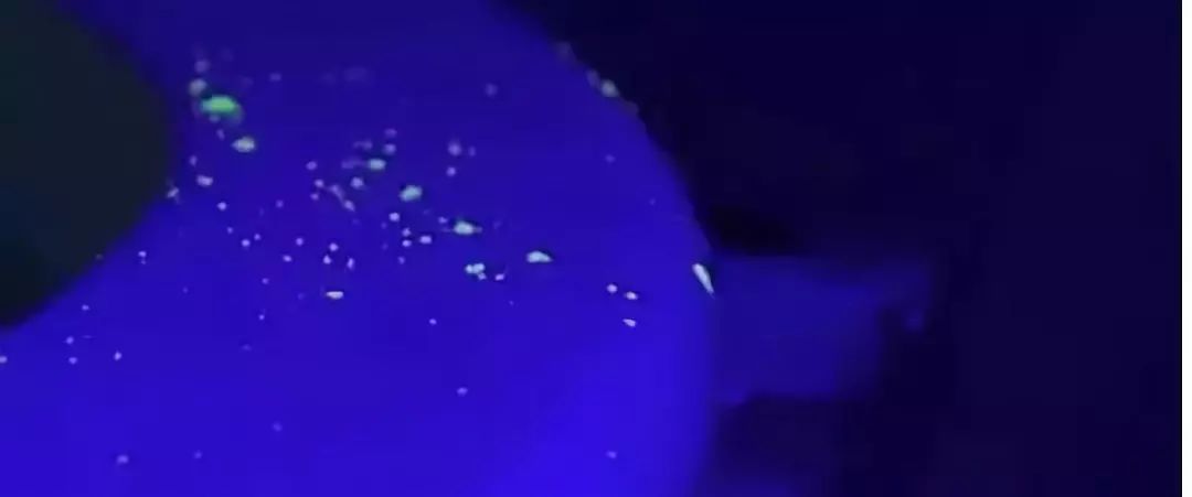 马桶除菌消毒,马桶杀灭细菌的消毒液是什么