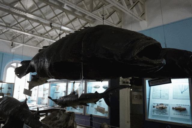 怎么去毛里求斯自由行旅游攻略,毛里求斯环岛路线